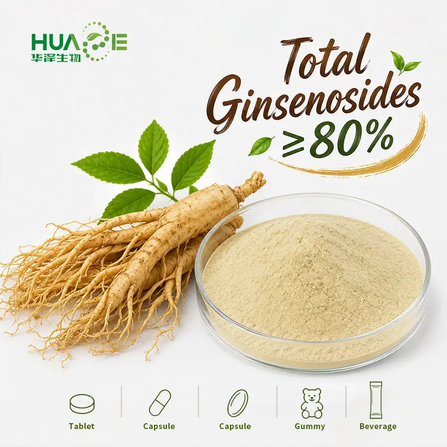 ginseng extract powder supplier ginseng extract powder supplier