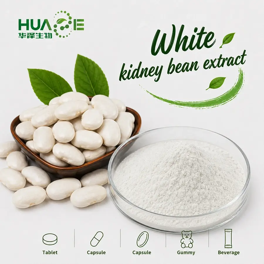 white kidney bean extract powder company white kidney bean extract powder company