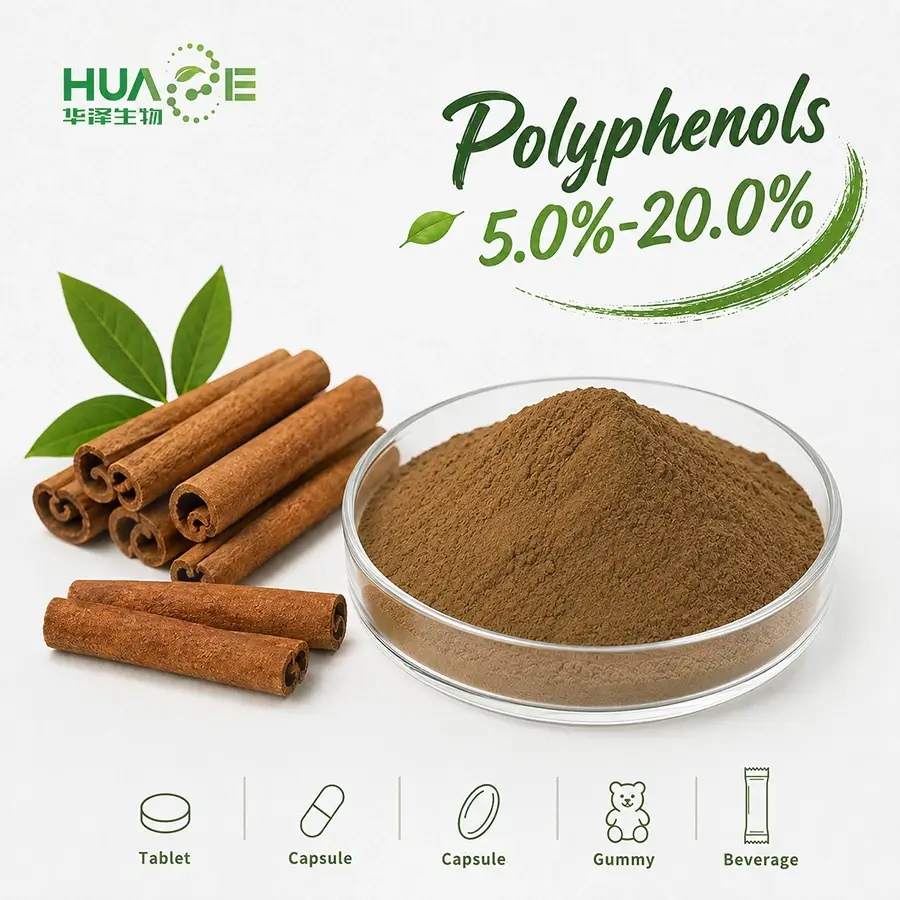 bulk cinnamon polyphenols 5% powder supplier bulk cinnamon polyphenols 5% powder supplier