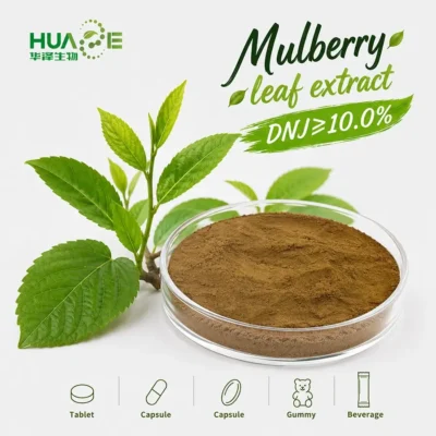 bluk mulberry leaf extract powder factory