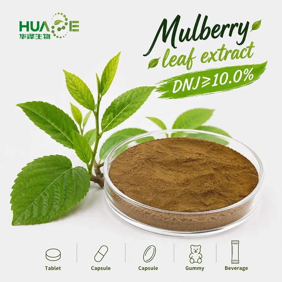 bluk mulberry leaf extract powder factory bluk mulberry leaf extract powder factory