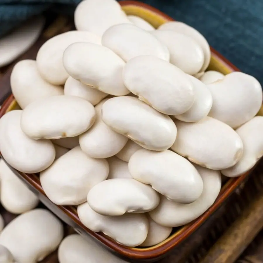 white kidney bean extract powder company white kidney bean extract powder company