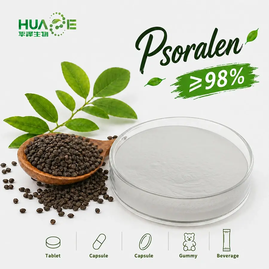 bulk psoralea corylifolia extract powder manufacturer 98% bulk psoralea corylifolia extract powder manufacturer 98%