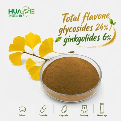 ginkgo biloba leaf extract powder supplier