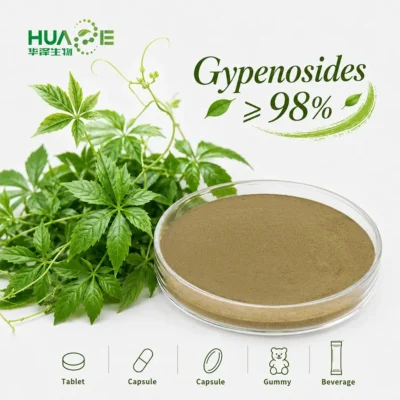 gynostemma pentaphyllum extract 80% powder