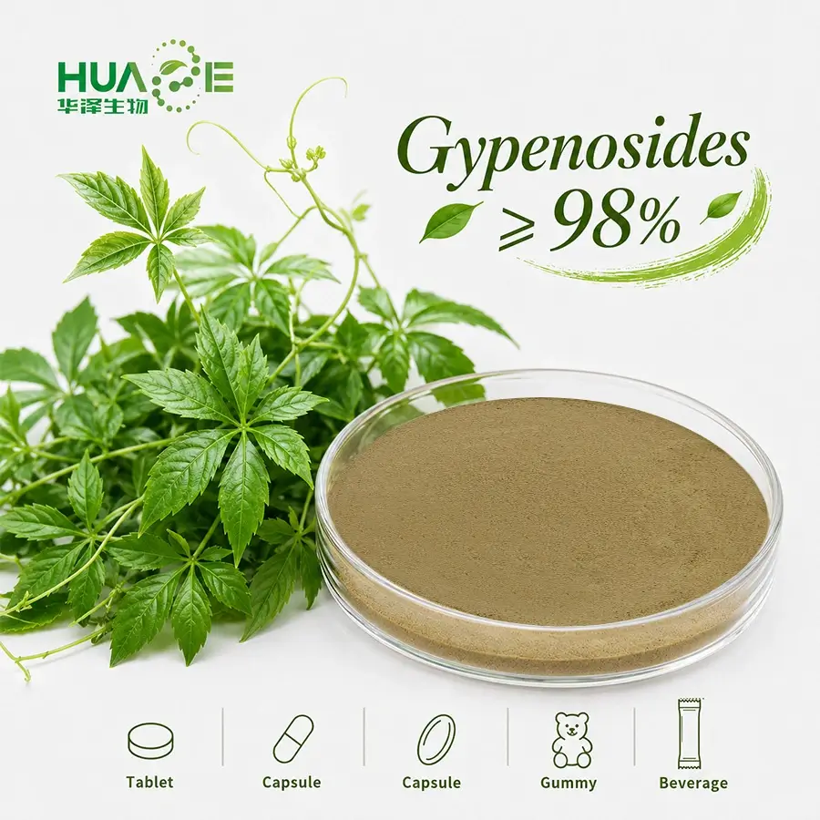 gynostemma pentaphyllum extract 80% powder gynostemma pentaphyllum extract 80% powder