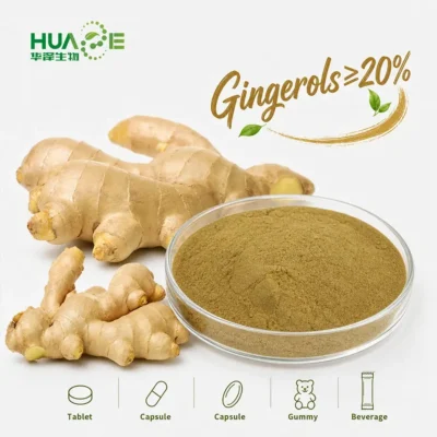 ginger rhizome powder gingerols supplier
