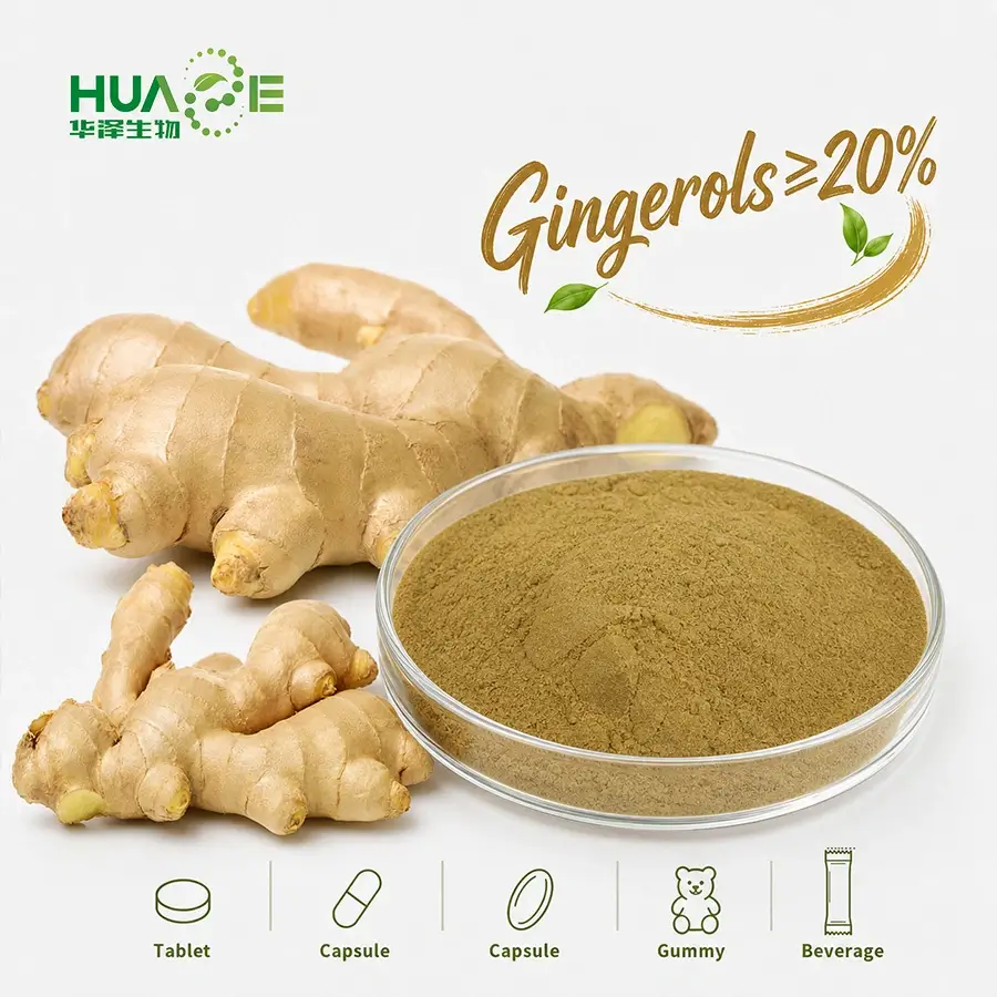 ginger rhizome powder gingerols supplier ginger rhizome powder gingerols supplier