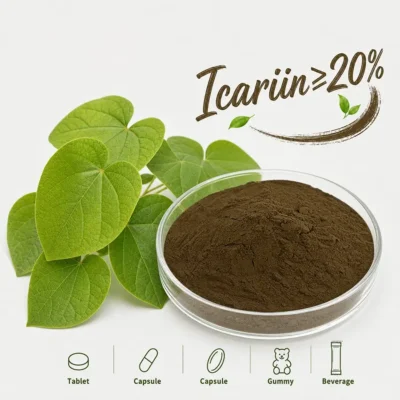 epimedium extract powder distributor