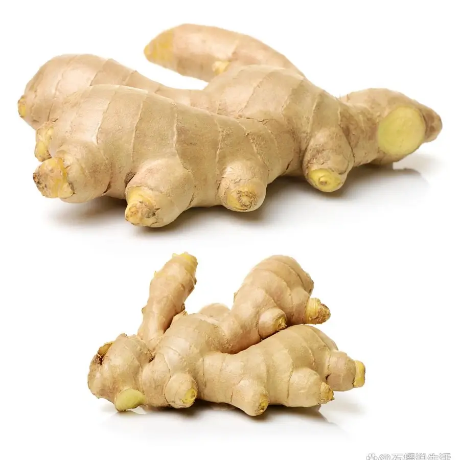 ginger rhizome powder gingerols supplier ginger rhizome powder gingerols supplier