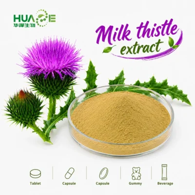 milk thistle extract powder distributor
