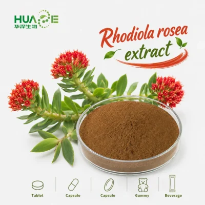 rhodiola rosea extract powder oem