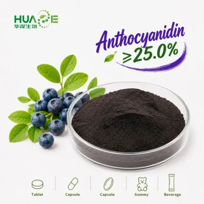 bilberry extract powder factory