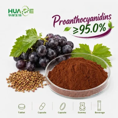 grape seed extract powder supplier