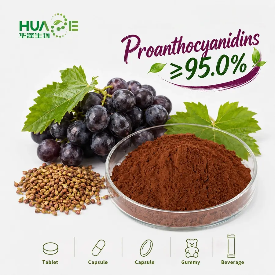grape seed extract powder supplier grape seed extract powder supplier
