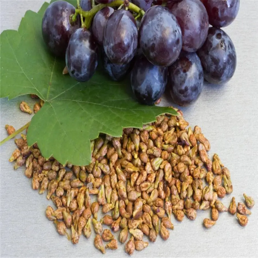 grape seed extract powder supplier grape seed extract powder supplier