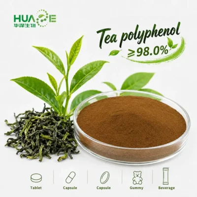 green tea polyphenols 98% powder manufacturer