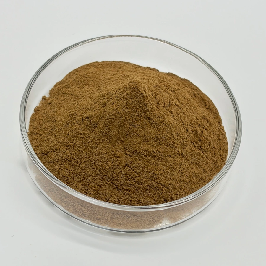 bulk psoralea corylifolia extract powder manufacturer 98% bulk psoralea corylifolia extract powder manufacturer 98%