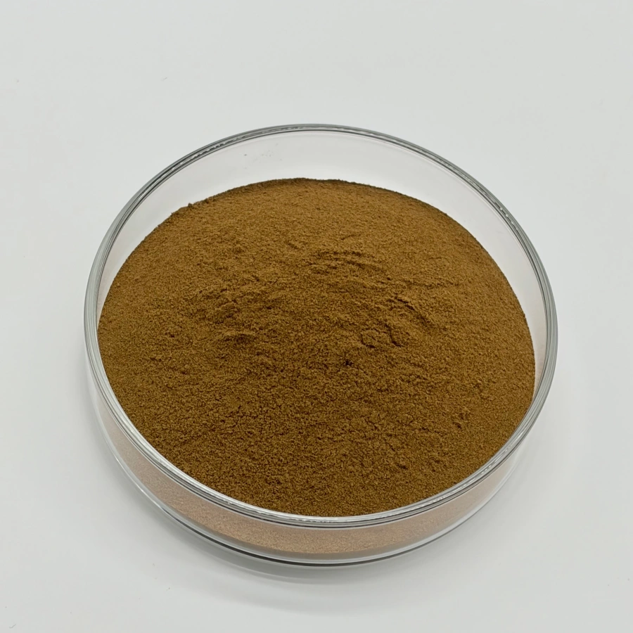 bulk psoralea corylifolia extract powder manufacturer 98% bulk psoralea corylifolia extract powder manufacturer 98%