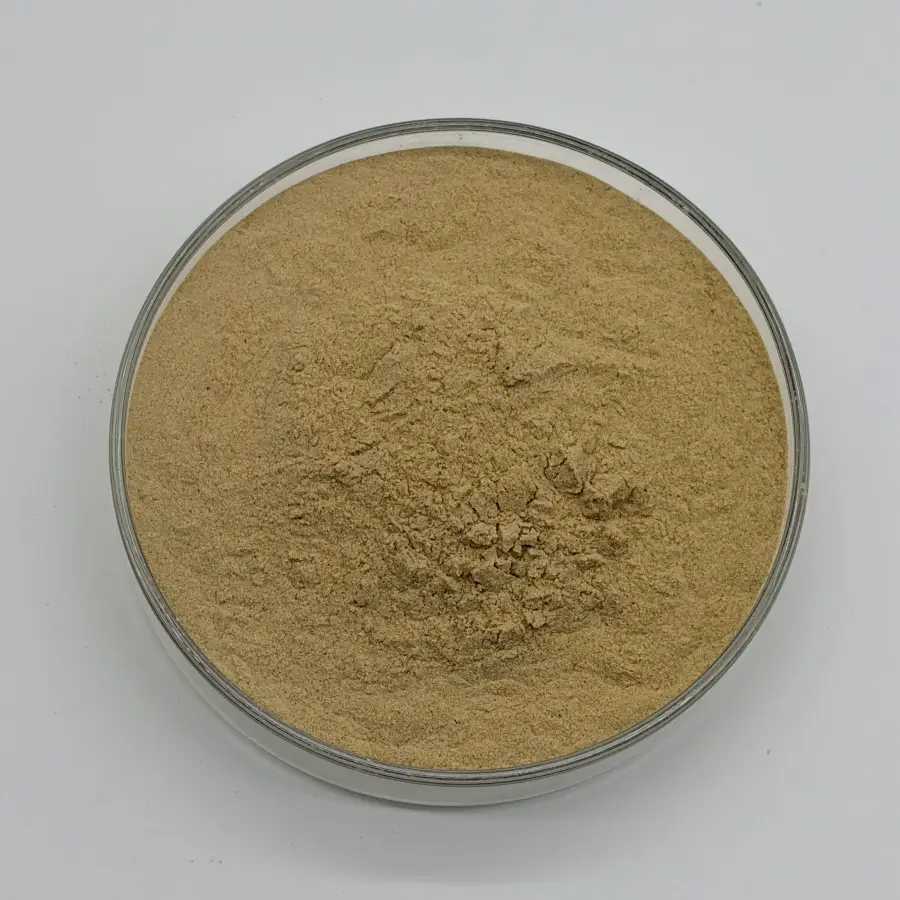 gynostemma pentaphyllum extract 80% powder gynostemma pentaphyllum extract 80% powder