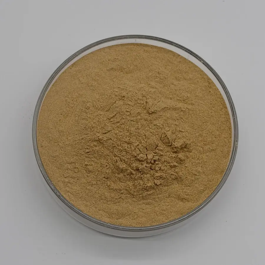 sea buckthorn extract powder wholesale sea buckthorn extract powder wholesale