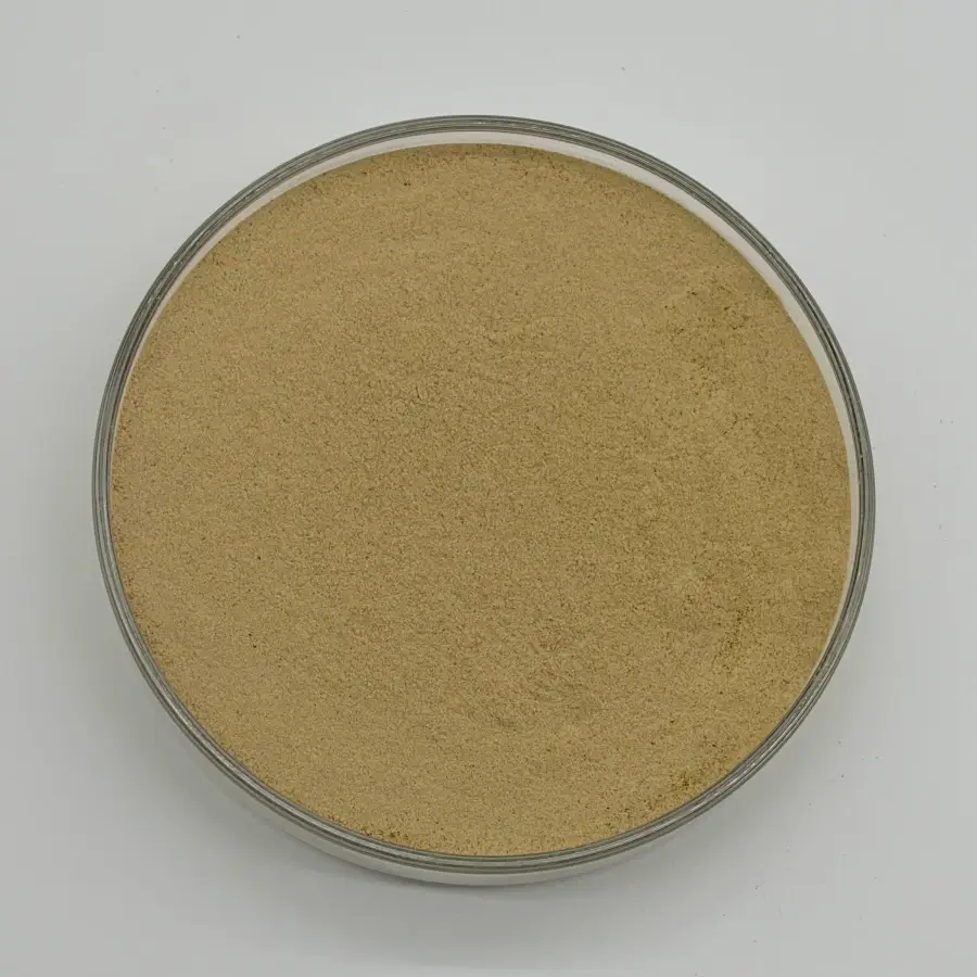 gynostemma pentaphyllum extract 80% powder gynostemma pentaphyllum extract 80% powder
