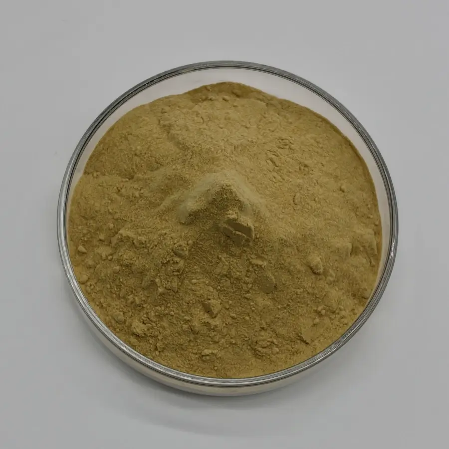 ginger rhizome powder gingerols supplier ginger rhizome powder gingerols supplier