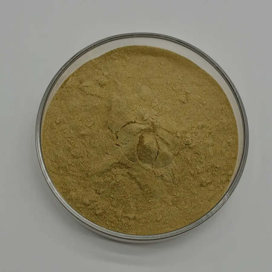 ginger rhizome powder gingerols supplier ginger rhizome powder gingerols supplier