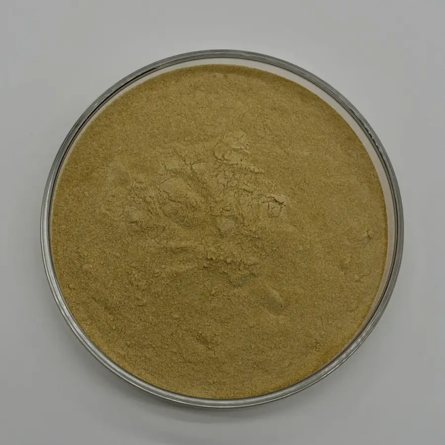 ginger rhizome powder gingerols supplier ginger rhizome powder gingerols supplier