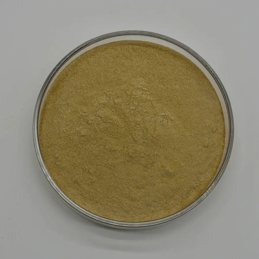 ginger rhizome powder gingerols supplier ginger rhizome powder gingerols supplier
