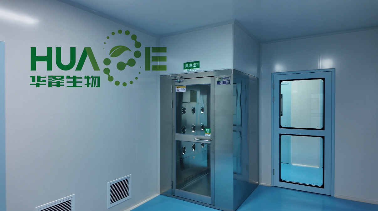 GMP stainless steel clean workshop, dust-free production room for plant herbal extract manufacturing