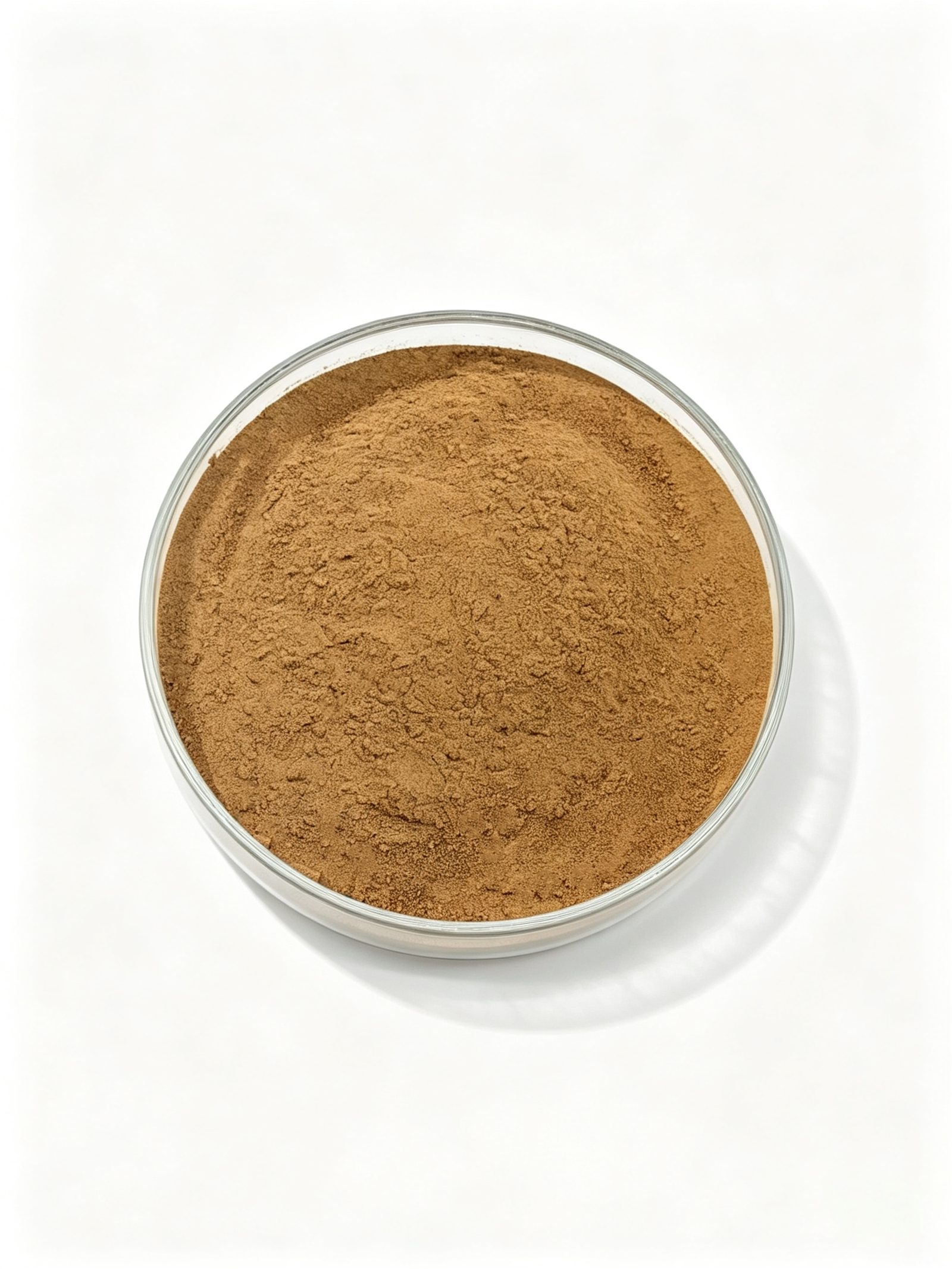 Mulberry Leaf Extract DNJ maufacturer