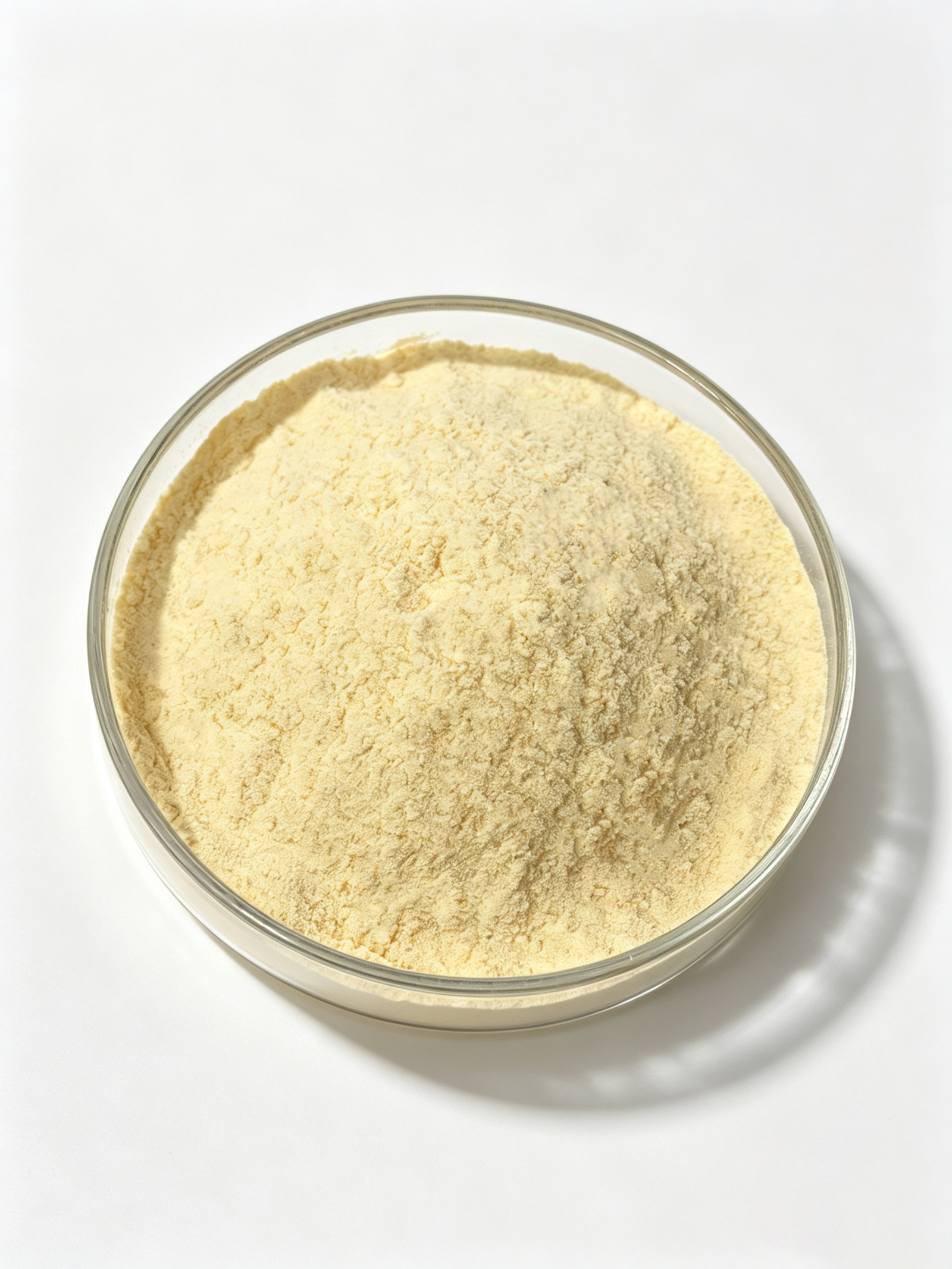 Royal jelly freeze dried Powder manufacturer