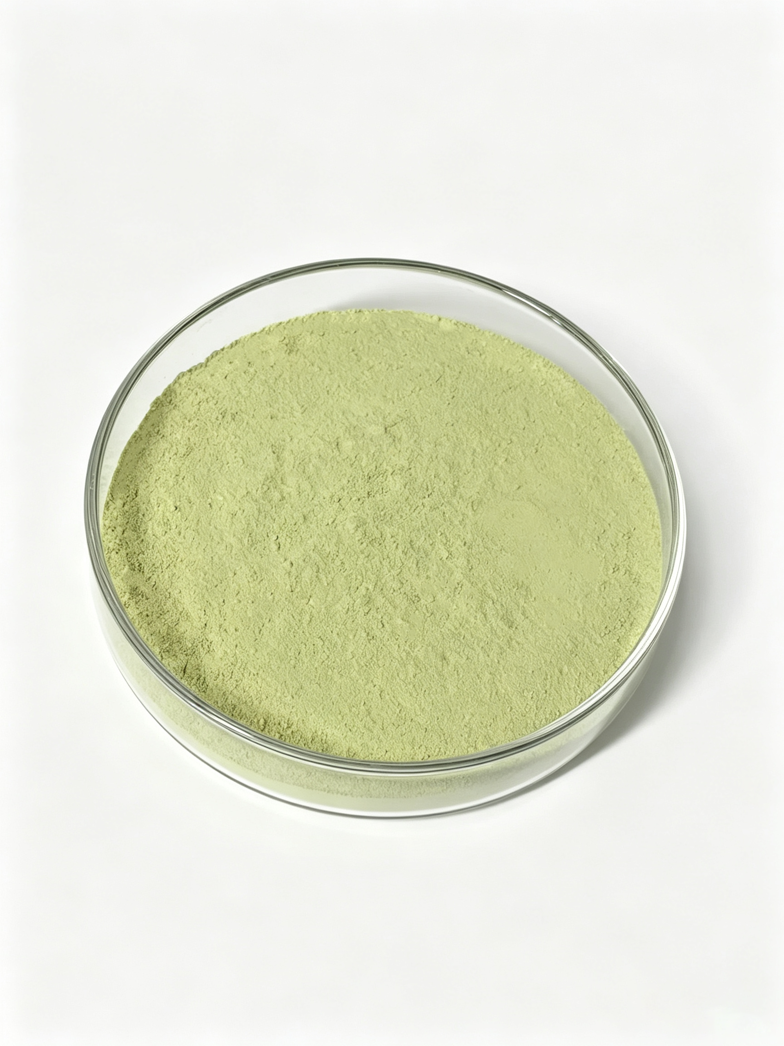 rutin 95% powder | sophora japonica extract | shaanxi huaze