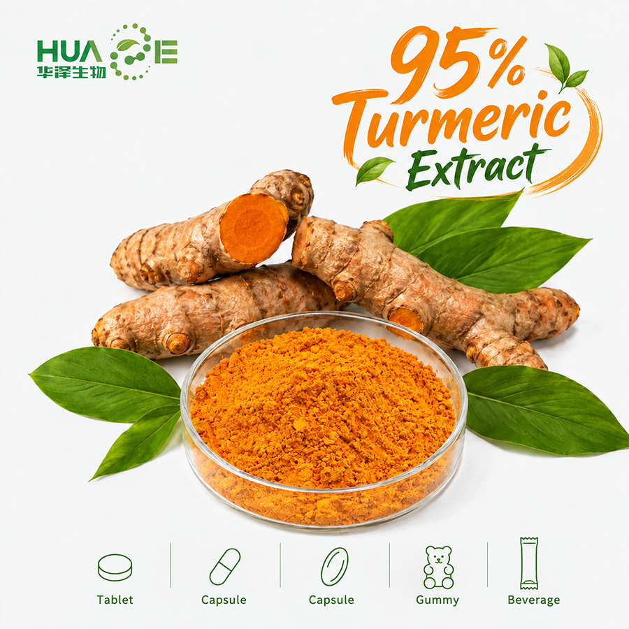 turmeric extract powder supplier