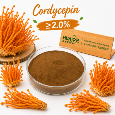 Cordyceps-Militaris-Extract-Powder-Manufacturer