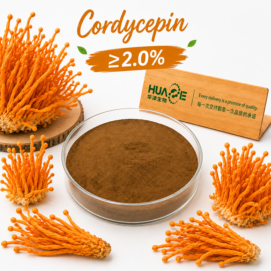 Cordyceps-Militaris-Extract-Powder-Manufacturer