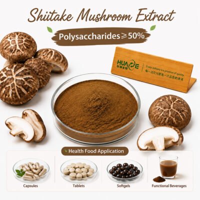 shiitake mushroom extract powder
