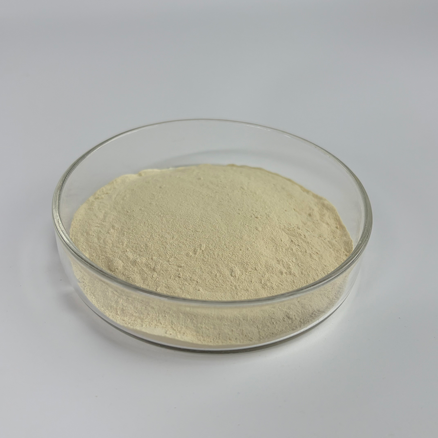 Black Pepper Extract Powder