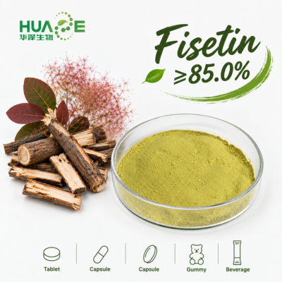Cotinus-Coggygria-Extract-Powder-Manufacturer