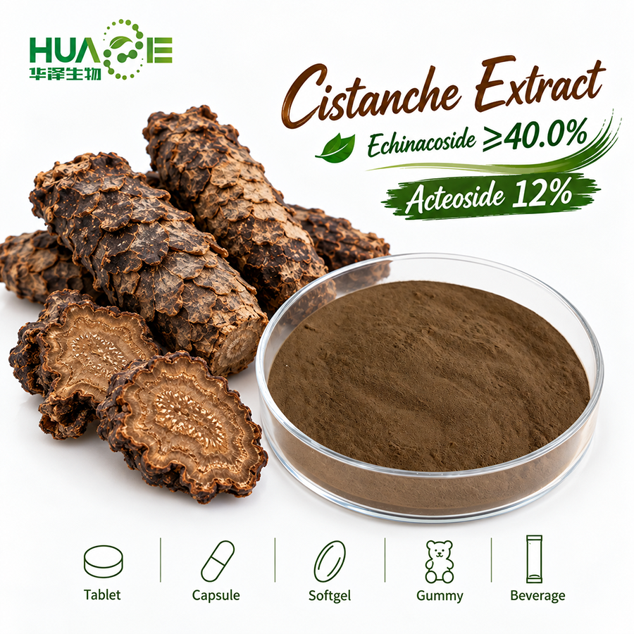 Desertliving-Cistanche-Extract-Powder Supplier