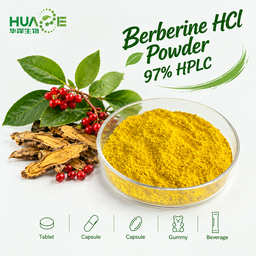 Natural-berberine-hcl-powder-97-supplier