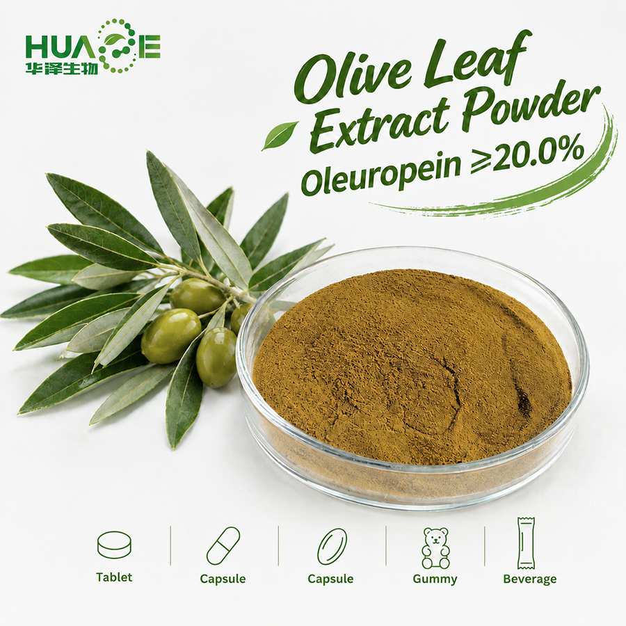 Olive-Leaf-Extract-Powder Supplier