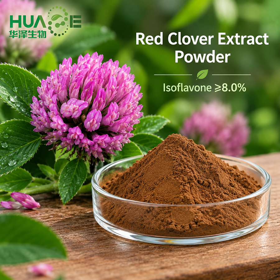 Red-Clover-Extract-Powder-manufacturer