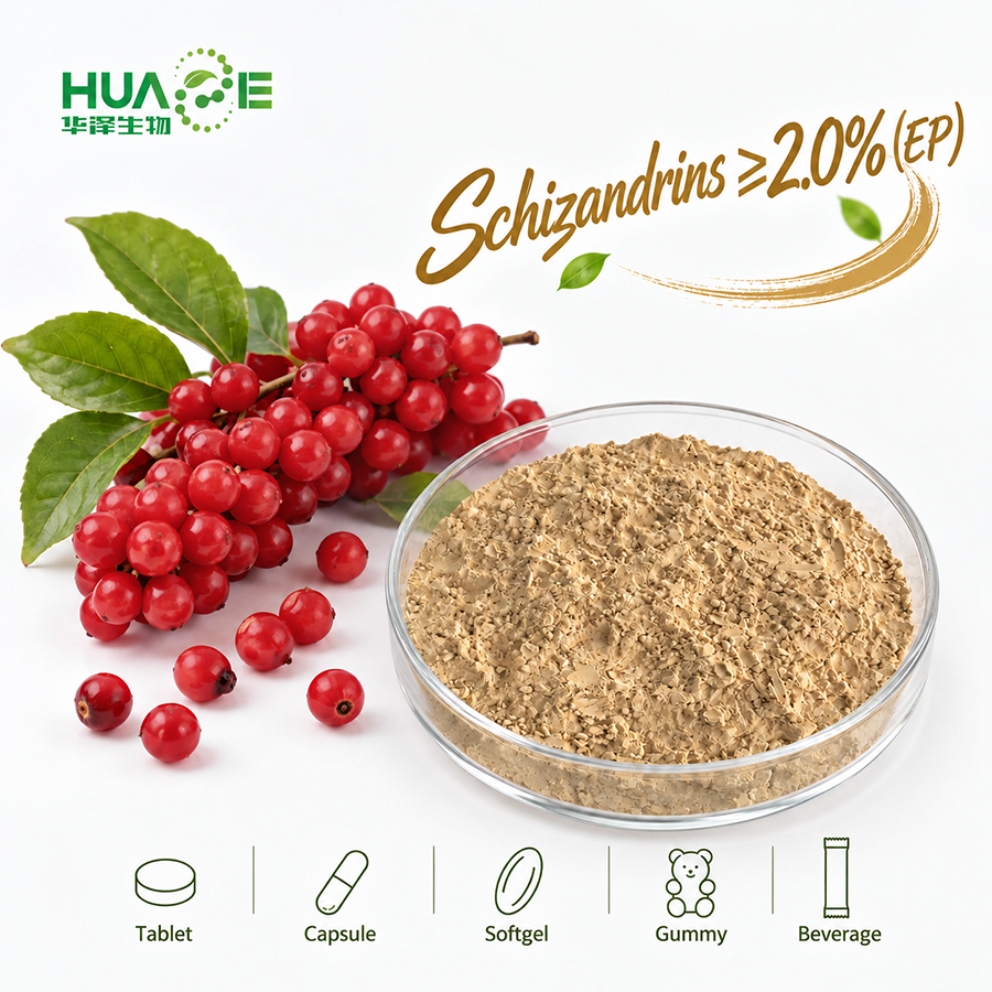 Schisandra Extract Powder Supplier
