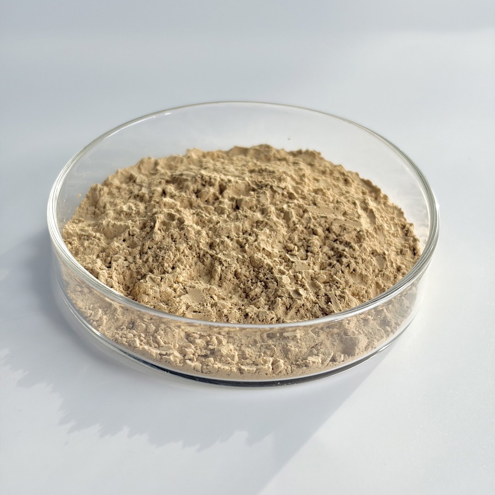 Schisandra-Extract-Powder