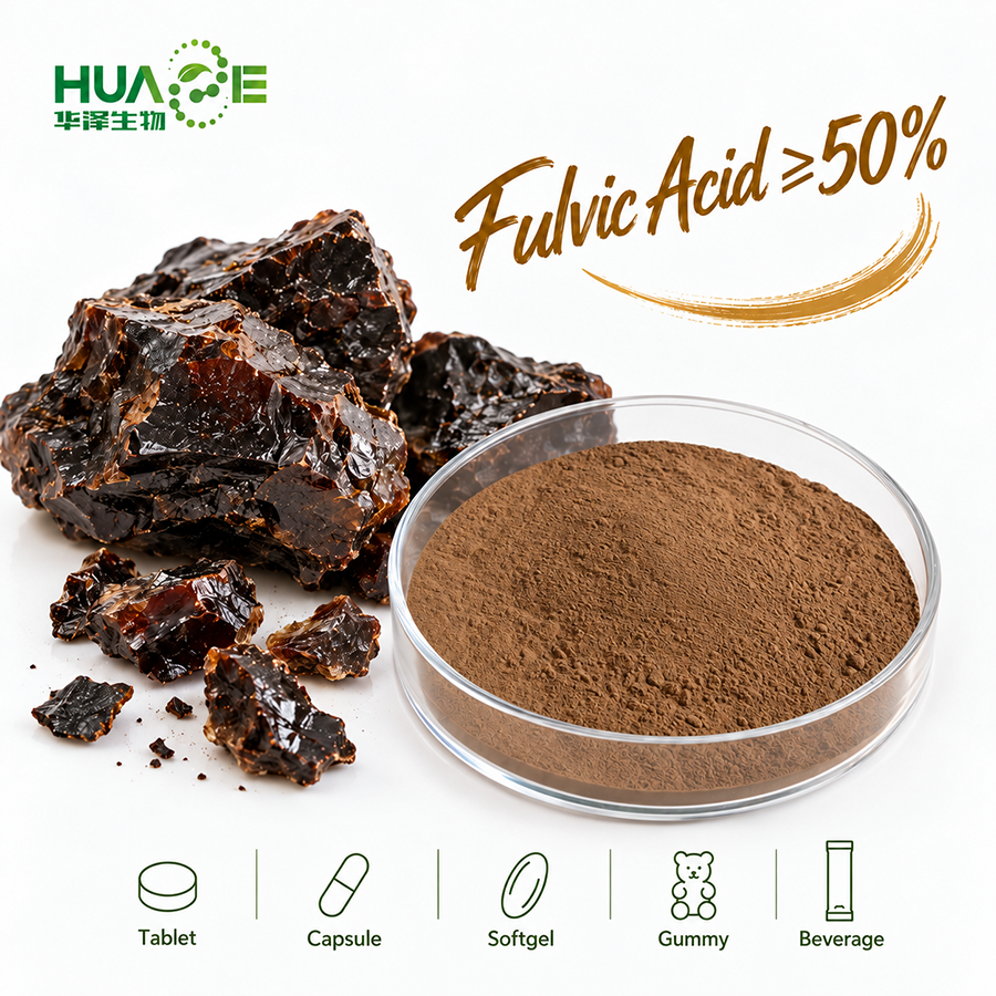 Shilajit Extract Powder Supplier
