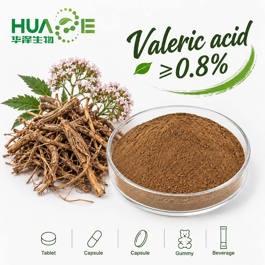 Valerian-Extract-Powder-Manufacturer