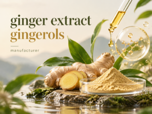 ginger extract gingerols manufacturer